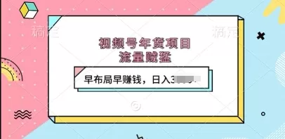 视频号年货项目，流量DD，早布局早挣钱，日入上k-免费资源网-第18张图片