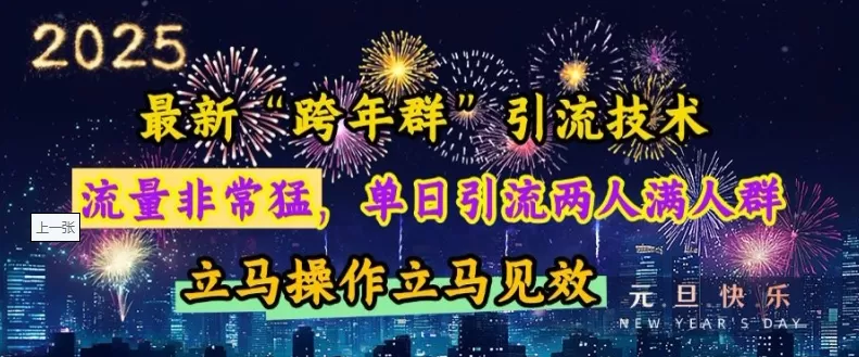 “跨年群”引流，流量非常猛，单日引流两人满人群，立马操作立马见效【揭秘】-免费资源网-第17张图片