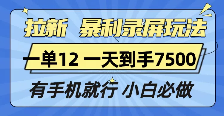 拉新暴利录屏玩法，一单12块，一天到手7500，有手机就行-免费资源网-第17张图片