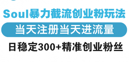 Soul暴力截流创业粉玩法，当天注册当天进流量，日稳定300+精准创业粉丝-免费资源网-第17张图片