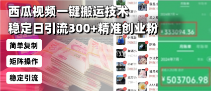 西瓜视频一键搬运技术，稳定日引流300+精准创业粉，简单可复制给团队-免费资源网-第18张图片