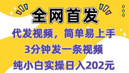 代发视频，简单易上手 3分钟发一条视频 纯小白实操日入202元-免费资源网-第18张图片