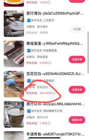 代发视频，简单易上手 3分钟发一条视频 纯小白实操日入202元-免费资源网-第19张图片