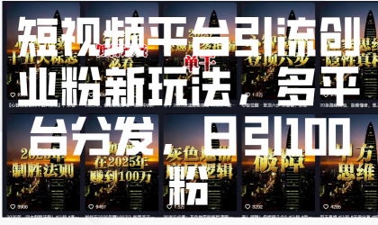 短视频平台引流创业粉新玩法，多平台分发，日引100粉-免费资源网-第17张图片