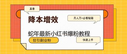 蛇年最新小红书爆粉教程，狂引副业粉，月入万+必看-免费资源网-第16张图片