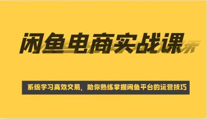 闲鱼电商实战课，系统学习高效交易，助你熟练掌握闲鱼平台的运营技巧-免费资源网-第13张图片