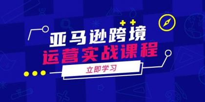 亚马逊跨境运营实战课程：涵盖亚马逊运营、申诉、选品等多个方面-免费资源网-第13张图片