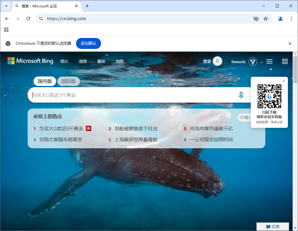 Ungoogled-Chromium v133.0.6943.98-1.1 中文绿色版-免费资源网-第13张图片
