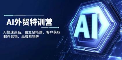 AI外贸特训营：AI快速选品、独立站搭建、客户获取、邮件营销、品牌营销等-免费资源网-第13张图片