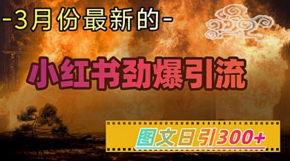 小红书的超劲爆引流方法方式，图文并茂日引300 轻轻松松转现1W-免费资源网-第12张图片