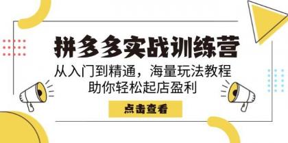 拼多多实战训练营，从入门到精通，海量玩法教程，助你轻松起店盈利-免费资源网-第12张图片