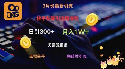 快手视频私信引流方法精准粉，当日奏效不用上传视频打金引流法日引300-免费资源网-第12张图片