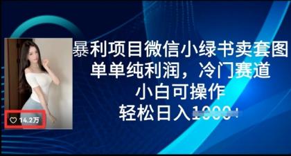 赚钱项目微信小绿书卖套图，仅仅净利润，小众跑道， 小白可实际操作，轻轻松松日入好几张-免费资源网-第12张图片