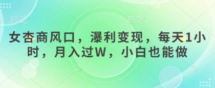 女杏商出风口，瀑利转现，每日1钟头，月入了W，新手也可以做-免费资源网-第12张图片