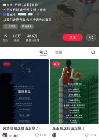 小红书治愈文案图文笔记，零门槛，一分钟制作轻松制作爆款作品月入万元-免费资源网-第13张图片