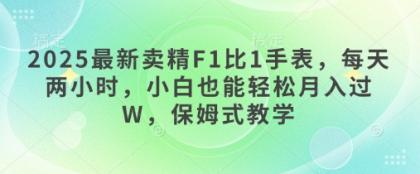 2025最新卖精F1比1手表，每天两小时，小白也能轻松月入过W，保姆式教学-免费资源网-第12张图片
