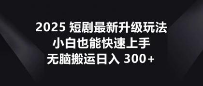 2025短剧最新升级玩法，小白也能快速上手，无脑搬运日入300+-免费资源网-第12张图片