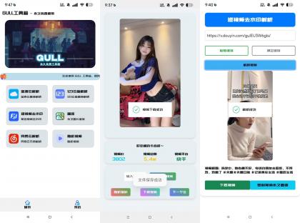 GULL工具箱-视频去水印/网盘解析下载等-免费资源网-第12张图片