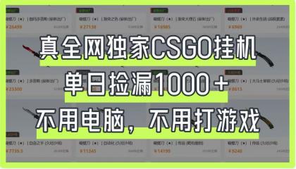 CSGO挂机，单日捡漏1000+，不用电脑，不用养号-免费资源网-第12张图片
