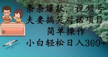 条条爆款，视频号夫妻搞笑对话项目，简单操作，小白轻松日入3张-免费资源网-第12张图片