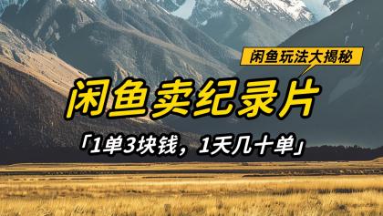 闲鱼卖纪录片，简单又赚钱的小项目，1单3块钱 1天几十单-免费资源网-第13张图片