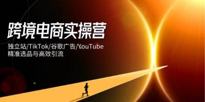 跨境电商实操营：独立站/TikTok/谷歌广告/YouTube，精准选品与高效引流-免费资源网-第13张图片