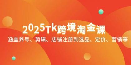 2025Tk跨境淘金课：涵盖养号、剪辑、店铺注册到选品、定价、营销等-免费资源网-第13张图片