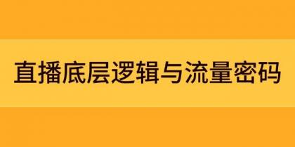 直播底层逻辑与流量密码：定位模型+案例拆解，急速流承接与数据优化全攻略-免费资源网-第13张图片
