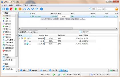 qBittorrent(强大的BT下载工具)v5.1.0.10中文绿色增强版-免费资源网-第13张图片