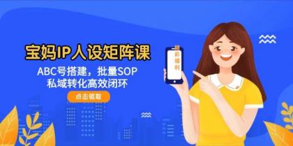 宝妈IP人设矩阵课：ABC号搭建，批量SOP，私域转化高效闭环-免费资源网-第13张图片