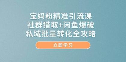 宝妈粉精准引流课，社群猎取+闲鱼爆破，私域批量转化全攻略-免费资源网-第13张图片
