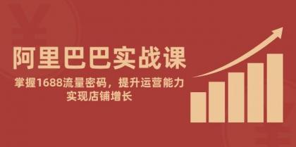 阿里巴巴实战课：掌握1688流量密码，提升运营能力，实现店铺增长-免费资源网-第13张图片