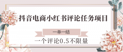 抖音电商小红书评论任务项目，一个评论0.5，一单一结 不限量-免费资源网-第18张图片
