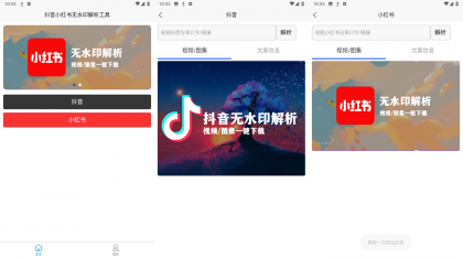 无水印解析-抖音小红书一键解析-免费资源网-第17张图片