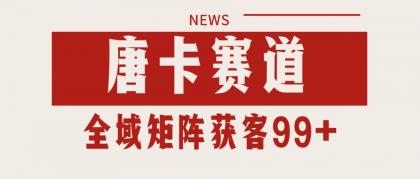 唐卡赛道私域引流获客 自热矩阵SOP日引流99+精准客资-免费资源网-第20张图片